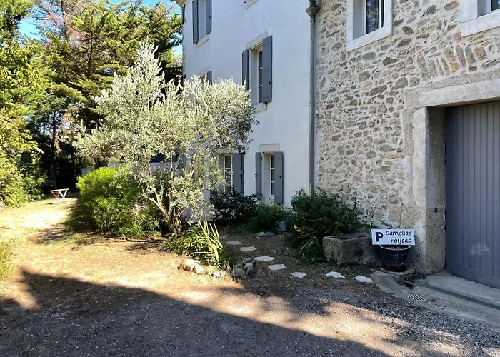 C&O Appartements