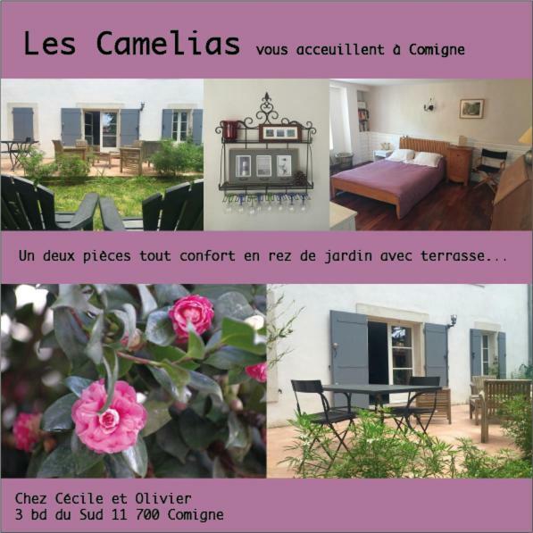 Appartement C&o Comigne