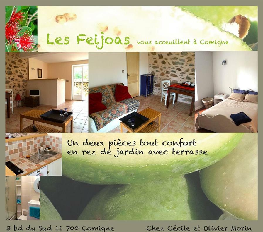 Appartement C&o Comigne